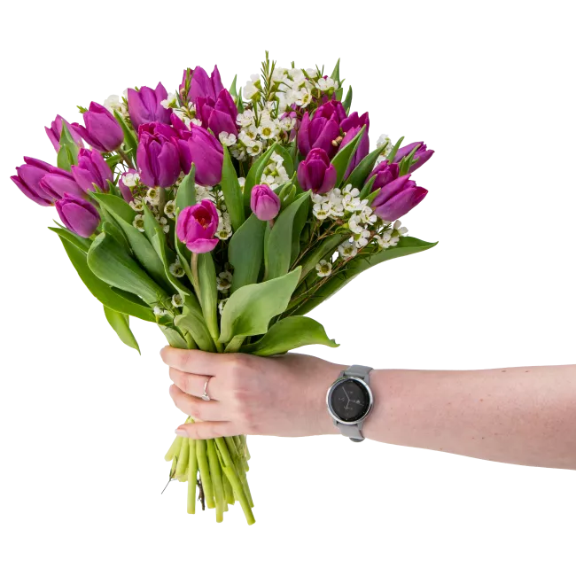 Kytice fialových  tulipánů